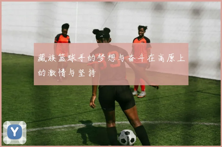 藏族篮球手的梦想与奋斗在高原上的激情与坚持