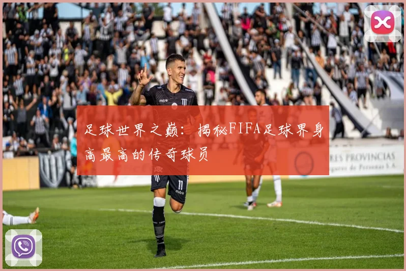 足球世界之巅：揭秘FIFA足球界身高最高的传奇球员