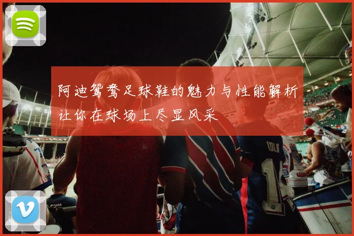 阿迪鸳鸯足球鞋的魅力与性能解析让你在球场上尽显风采