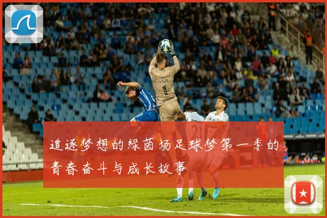 追逐梦想的绿茵场足球梦第一季的青春奋斗与成长故事